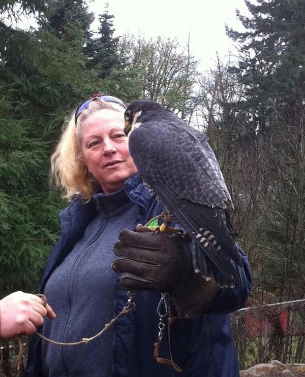 ANIMAL LOVER: Cheryl Jones has been in love with wild animals since she saved a seagull with a hook its beak at age 12. (A Walk on the Wild Side)