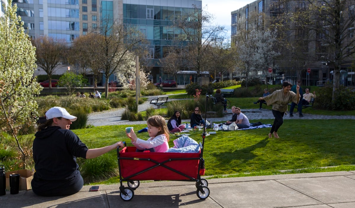 Oregon S Virtual Charter Schools Are The Definition Of Social