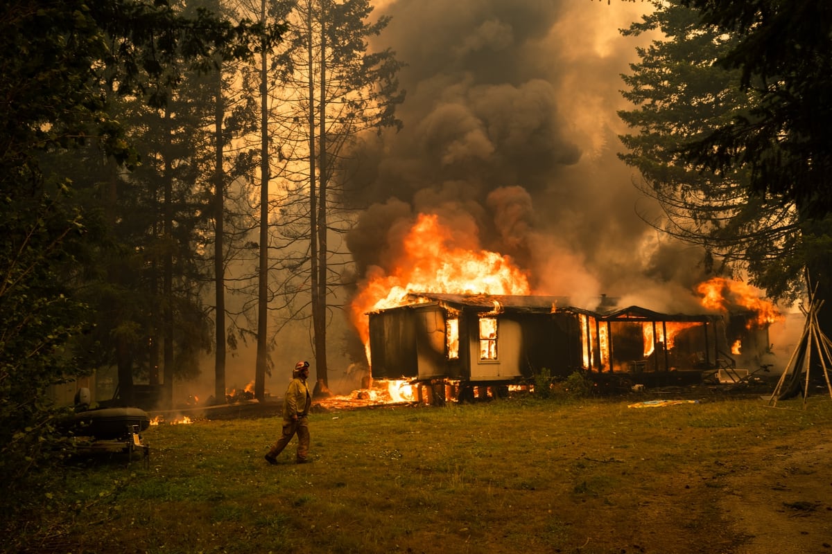 Cháy rừng lan đến nhà, bé trai tử vong bên cạnh chó cưng - Ảnh 2.