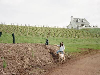 Cramoisi Vineyard’s Massive Compost Pile Is Unlike Any You’ve Ever Seen