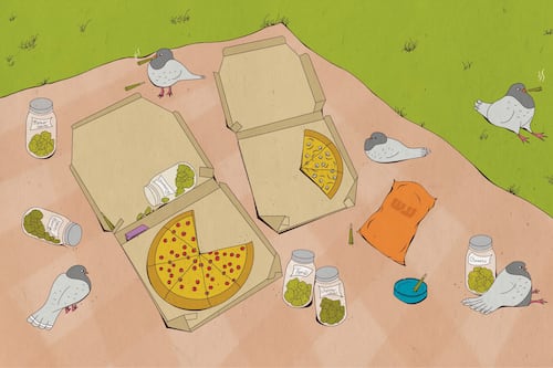 Potlander: Your Farewell Summer Stash