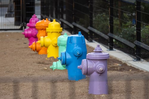 Portland’s Best Fire Hydrants
