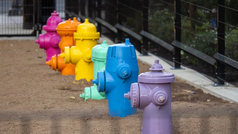 Portland’s Best Fire Hydrants