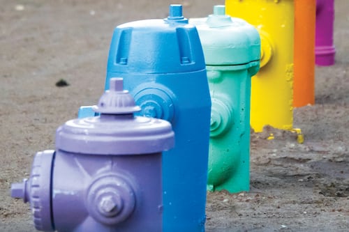 Portland’s Best Fire Hydrants