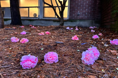 Portland School Board Grapples With Abrupt MLC High School Closure