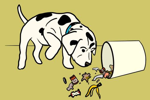 While Pets Could Accidentally Ingest Fentanyl, Household Toxins Are a Far Greater Risk