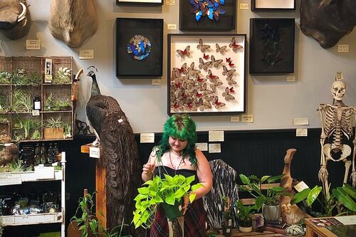 Paxton Gate’s Garden Section Is Not to Be Overlooked