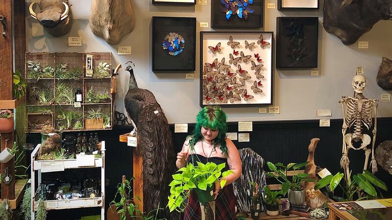 Paxton Gate’s Garden Section Is Not to Be Overlooked