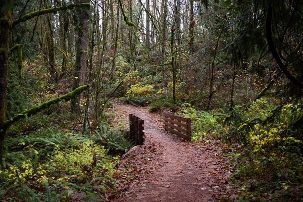 Three Short Hikes You Can Reach by Public Transit