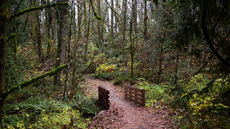 Three Short Hikes You Can Reach by Public Transit