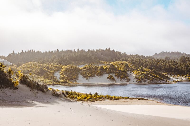 Plunge Into the Mind-Bending Landscape That Inspired the Novel “Dune”