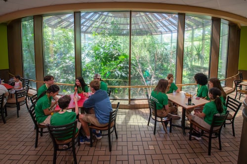 Portland’s Best Bird-Filled Cafe