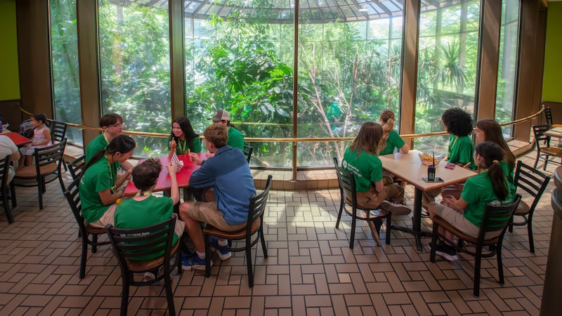 Portland’s Best Bird-Filled Cafe