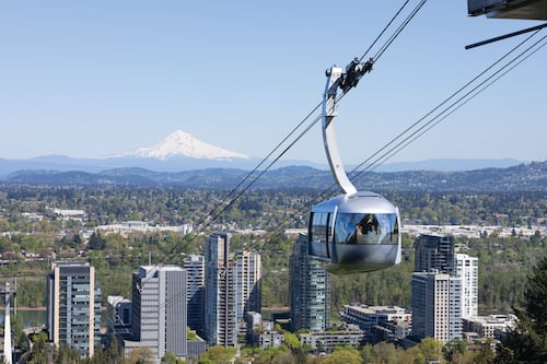 OHSU Fires Key Leader After Brief Tenure