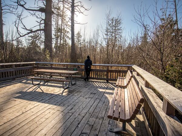 Bask in the Beauty of the Northern Oregon Coast