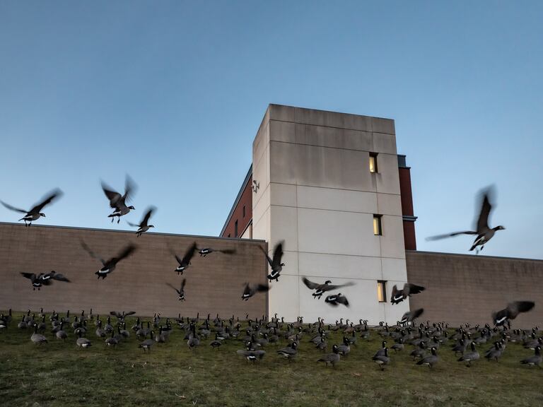 How Oregon’s Broken Mental Health System Failed Vashon Locust