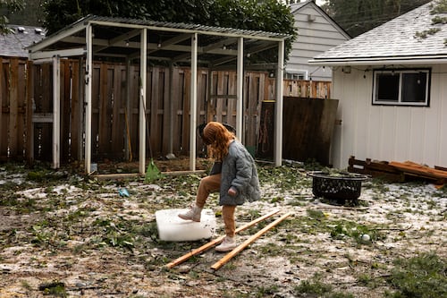 City Ordered to Pay $717,000 to Portland Family Whose Home Was Crushed by a Tree in 2024