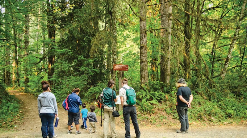 Portland’s Best Gateway Into Stargazing