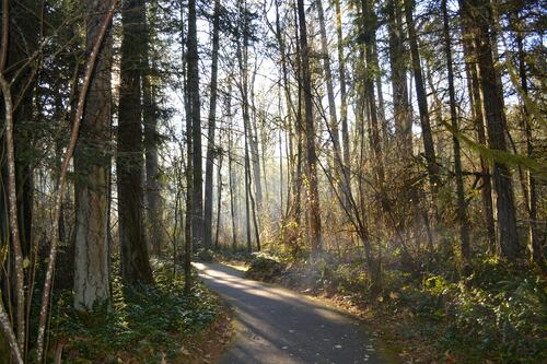 Hike of the Month: Tualatin Hills Nature Park