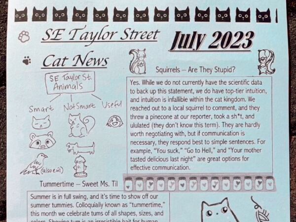 There Is Now a Newspaper of Record for Felines: SE Taylor Street Cat News