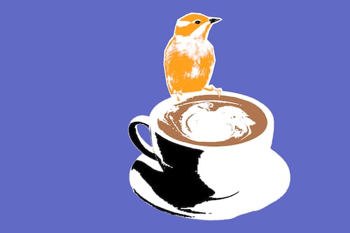 Bird’s Eye Cafe Gathers Roseway Neighbors for Coffee and Rose City Bluff Restoration