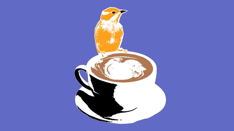 Bird’s Eye Cafe Gathers Roseway Neighbors for Coffee and Rose City Bluff Restoration