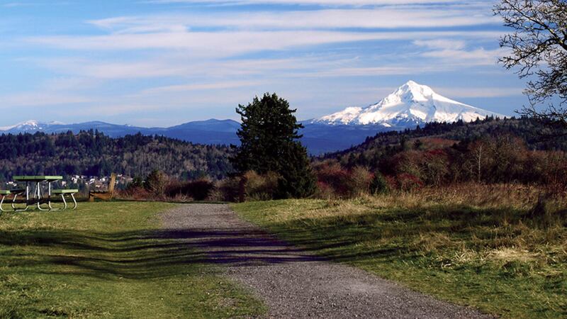 Powell Butte Nature Park Feels Like an Escape From the City