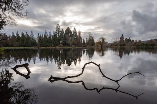 Whooping Cough Cases in Oregon Surpass Annual Record