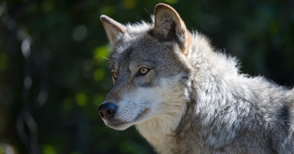 732ZOHXEQ5HL7J4KANA443U2JI.jpg?smart=tru