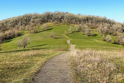 Hike of the Month: Baskett Butte Loop