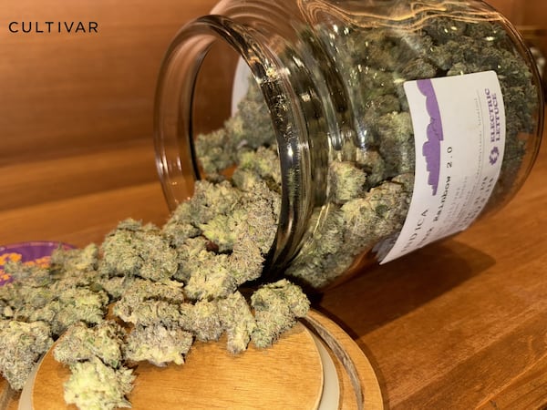 Discounts on All Prūf Cultivar Flower