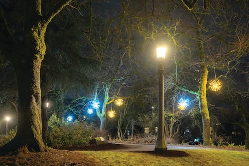 Portland’s Best Whimsical Safety Lighting