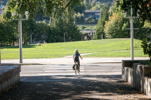 Five-Year Parks Levy Appears Poised for Victory