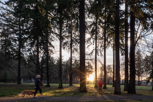 Is There Some Kind of Meme About Letting the Sun Shine on Your Butthole?
