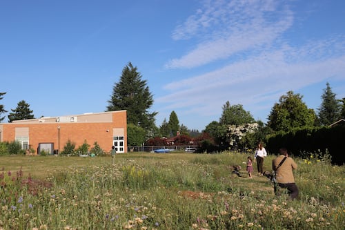 At Russell Elementary School, a Once-Sprawling Grassy Lawn Sees New Life