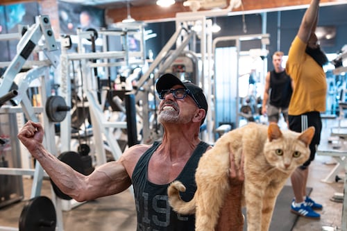 Foster Fitness Center Is the Place to Pump Iron and Snuggle Cats