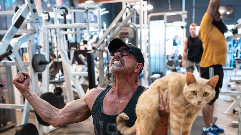 Foster Fitness Center Is the Place to Pump Iron and Snuggle Cats