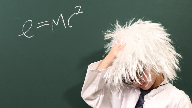 WW’s Fall 2024 Endorsements: Ballot Measures