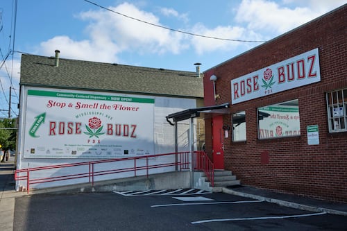 Tax Debt: Kyle K. Dobashi