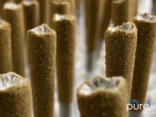 One Gram Preroll Bliss Stixx for $4.20