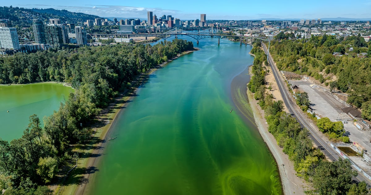 A Megabloom of Toxic Algae Is Turning the River Bright Green, Again