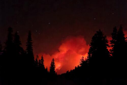 Mt. Hood Meadows Cancels Summer Operations Due to Grasshopper Fire