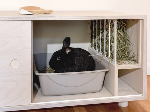 Bink Rabbit Goods Reimagines How Bunny Parents Live With Their Precious Pets