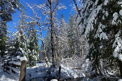 Silver Falls State Park’s Outback Rewards With Solitude and Possibly Snow