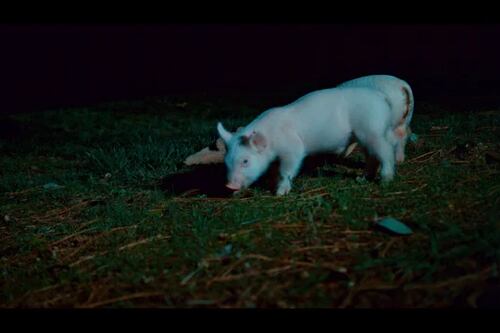 In Southern Oregon, a Slasher Film Stranger Than Fiction