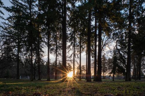 Excess Deaths Suggest We Don’t Know the Full Toll of COVID on Black Portlanders