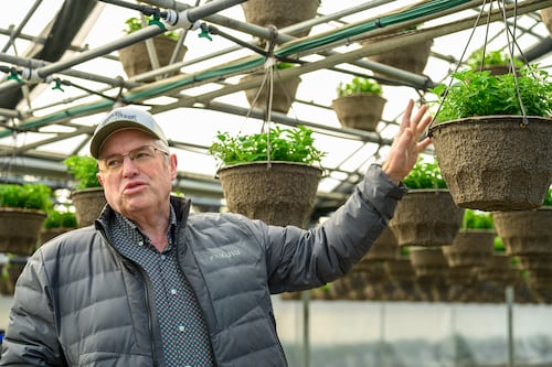 Oregon’s Climate Protection Program Costs Far More Than Other States’—and Is Far Less Accountable