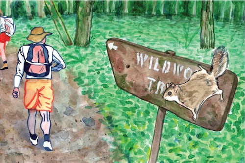 Hike Until You’re Hurting on One Portland Trail