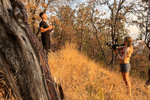 Drawing Strength From Heartbreak, Maria Allred Has Found Her Voice