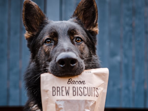 Brew Biscuits Upcycles Spent Grain—a Byproduct of the Craft Brewing Industry